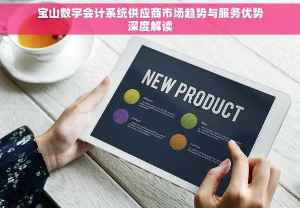 宝山数字会计系统供应商市场趋势与服务优势深度解读