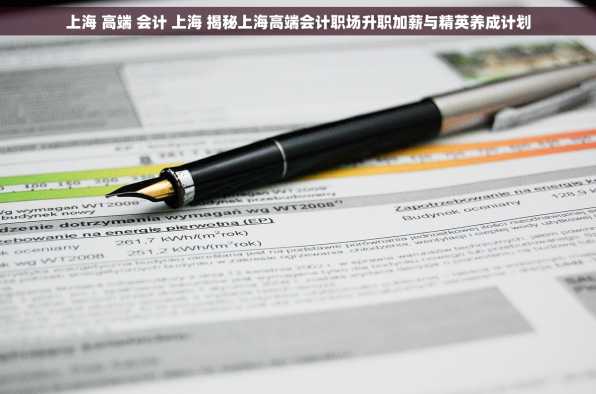 上海 高端 会计 上海 揭秘上海高端会计职场升职加薪与精英养成计划
