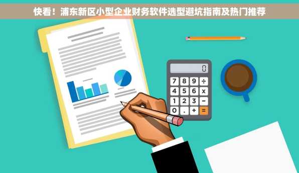 快看！浦东新区小型企业财务软件选型避坑指南及热门推荐