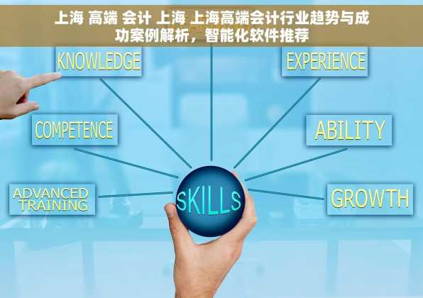 上海 高端 会计 上海 上海高端会计行业趋势与成功案例解析，智能化软件推荐
