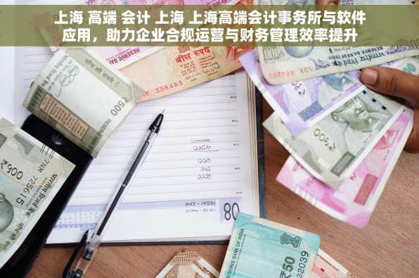 上海 高端 会计 上海 上海高端会计事务所与软件应用，助力企业合规运营与财务管理效率提升