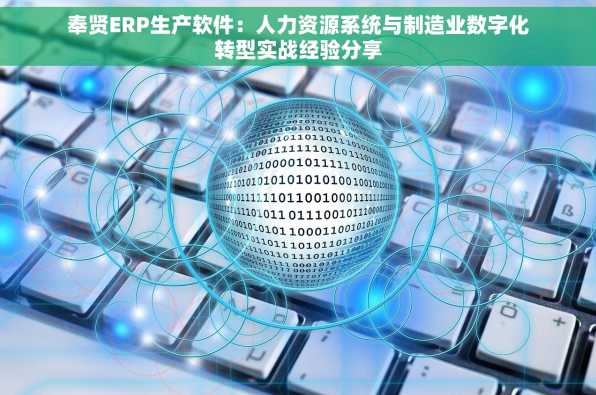 奉贤ERP生产软件：人力资源系统与制造业数字化转型实战经验分享