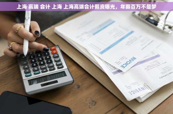上海 高端 会计 上海 上海高端会计薪资曝光，年薪百万不是梦