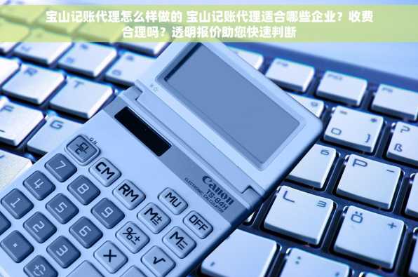 宝山记账代理怎么样做的 宝山记账代理适合哪些企业？收费合理吗？透明报价助您快速判断