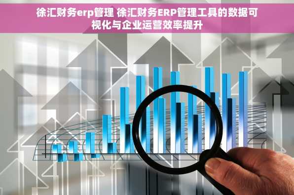 徐汇财务erp管理 徐汇财务ERP管理工具的数据可视化与企业运营效率提升