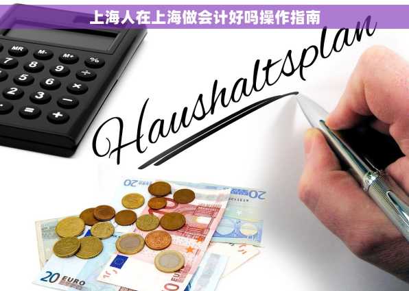 上海人在上海做会计好吗操作指南