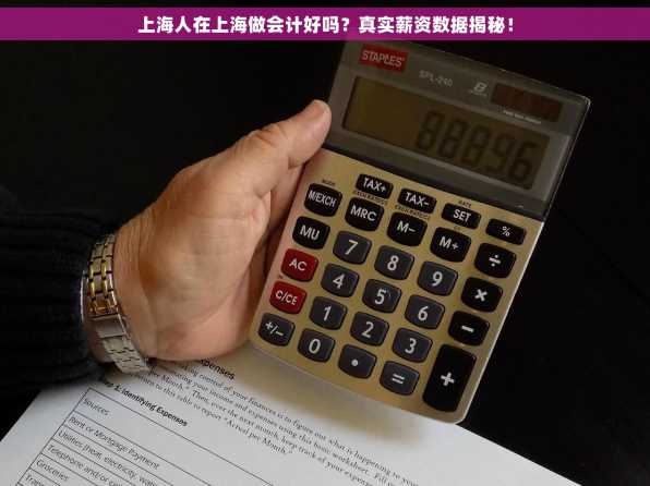 上海人在上海做会计好吗？真实薪资数据揭秘！