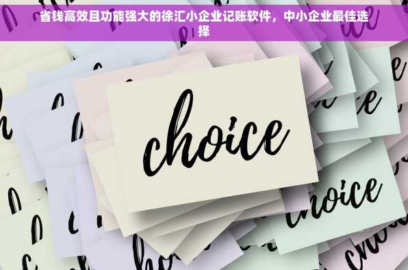 省钱高效且功能强大的徐汇小企业记账软件，中小企业最佳选择