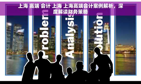 上海 高端 会计 上海 上海高端会计案例解析，深度解读财务策略