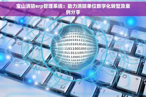 宝山消防erp管理系统：助力消防单位数字化转型及案例分享