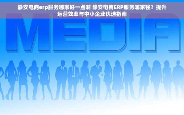 静安电商erp服务哪家好一点啊 静安电商ERP服务哪家强？提升运营效率与中小企业优选指南