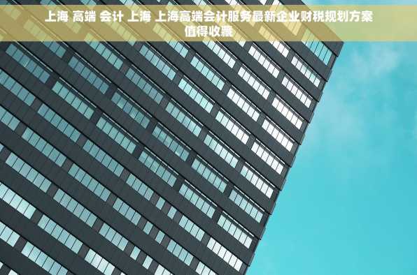 上海 高端 会计 上海 上海高端会计服务最新企业财税规划方案值得收藏