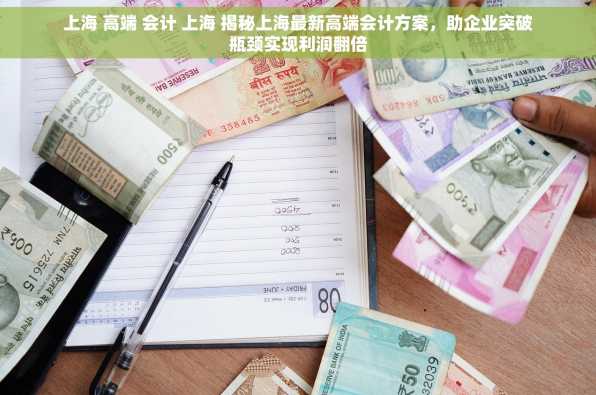 上海 高端 会计 上海 揭秘上海最新高端会计方案，助企业突破瓶颈实现利润翻倍