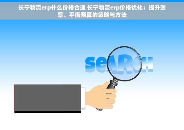 长宁物流erp什么价格合适 长宁物流erp价格优化：提升效率、平衡预算的策略与方法