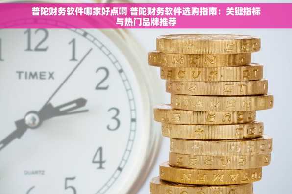 普陀财务软件哪家好点啊 普陀财务软件选购指南：关键指标与热门品牌推荐