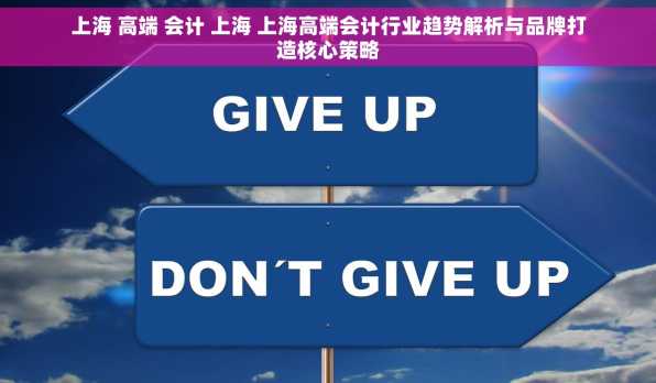 上海 高端 会计 上海 上海高端会计行业趋势解析与品牌打造核心策略