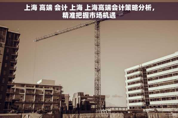上海 高端 会计 上海 上海高端会计策略分析，精准把握市场机遇