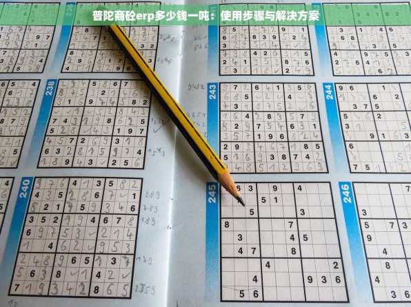 普陀商砼erp多少钱一吨：使用步骤与解决方案