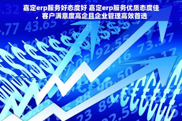 嘉定erp服务好态度好 嘉定erp服务优质态度佳，客户满意度高企且企业管理高效首选