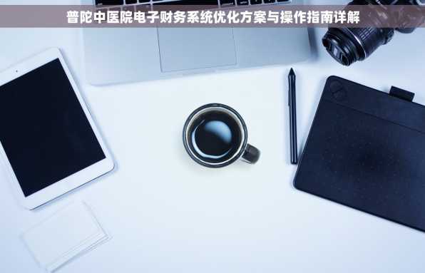 普陀中医院电子财务系统优化方案与操作指南详解