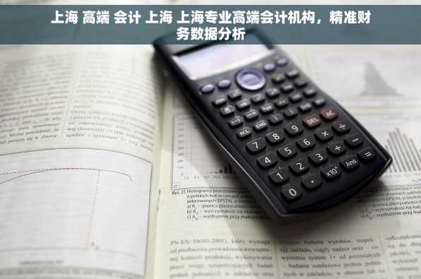 上海 高端 会计 上海 上海专业高端会计机构，精准财务数据分析