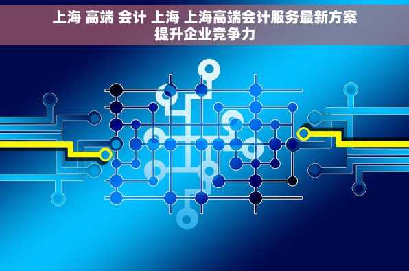 上海 高端 会计 上海 上海高端会计服务最新方案提升企业竞争力