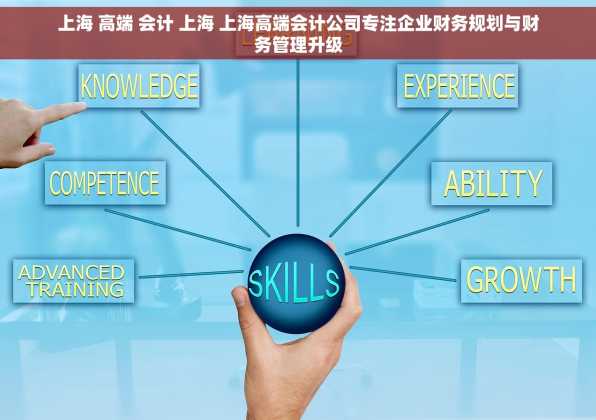 上海 高端 会计 上海 上海高端会计公司专注企业财务规划与财务管理升级