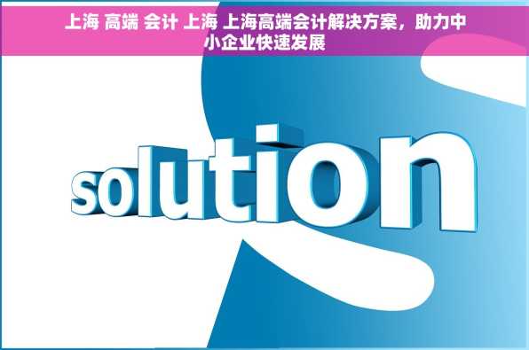 上海 高端 会计 上海 上海高端会计解决方案，助力中小企业快速发展