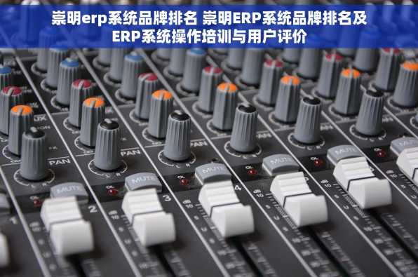 崇明erp系统品牌排名 崇明ERP系统品牌排名及ERP系统操作培训与用户评价
