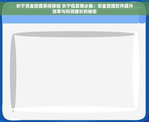 长宁资金管理系统体验 长宁批发商必备：资金管理软件提升效率与利润增长的秘密