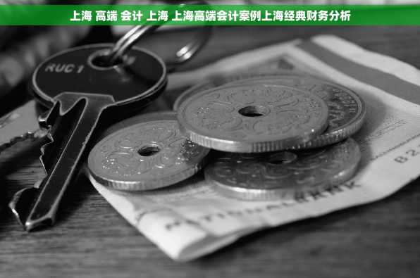 上海 高端 会计 上海 上海高端会计案例上海经典财务分析