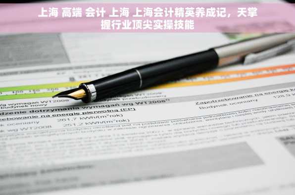 上海 高端 会计 上海 上海会计精英养成记，天掌握行业顶尖实操技能