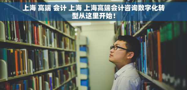 上海 高端 会计 上海 上海高端会计咨询数字化转型从这里开始！