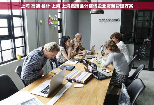 上海 高端 会计 上海 上海高端会计咨询企业财务管理方案