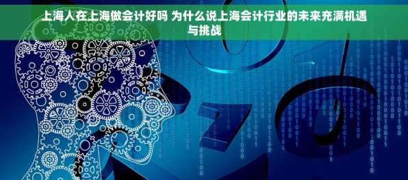 上海人在上海做会计好吗 为什么说上海会计行业的未来充满机遇与挑战