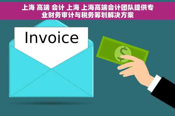 上海 高端 会计 上海 上海高端会计团队提供专业财务审计与税务筹划解决方案