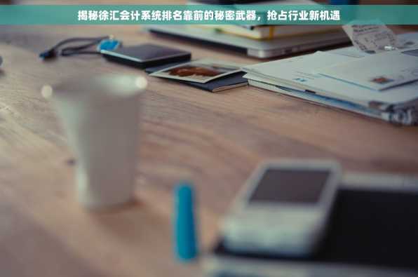 揭秘徐汇会计系统排名靠前的秘密武器，抢占行业新机遇