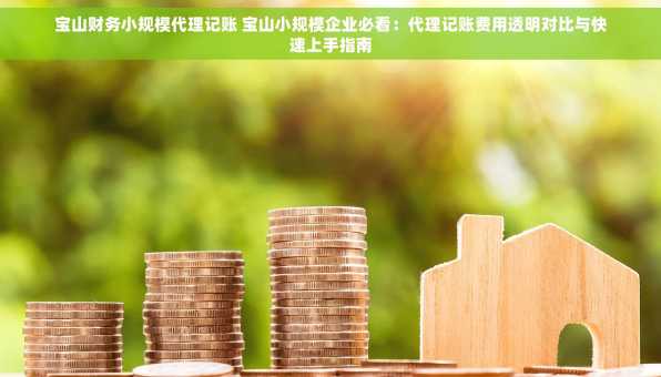 宝山财务小规模代理记账 宝山小规模企业必看：代理记账费用透明对比与快速上手指南