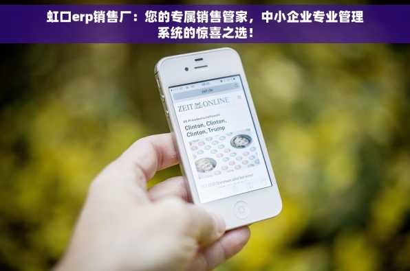 虹口erp销售厂：您的专属销售管家，中小企业专业管理系统的惊喜之选！