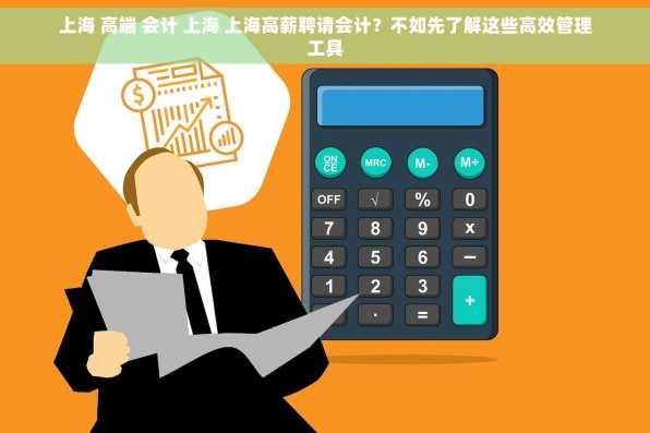 上海 高端 会计 上海 上海高薪聘请会计？不如先了解这些高效管理工具