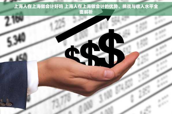 上海人在上海做会计好吗 上海人在上海做会计的优势、挑战与收入水平全面解析