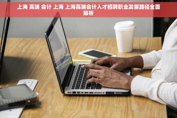 上海 高端 会计 上海 上海高端会计人才招聘职业发展路径全面解析