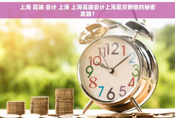 上海 高端 会计 上海 上海高端会计上海薪资翻倍的秘密武器？