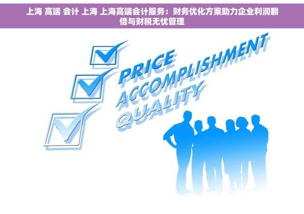 上海 高端 会计 上海 上海高端会计服务：财务优化方案助力企业利润翻倍与财税无忧管理