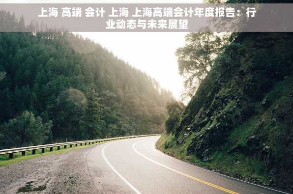 上海 高端 会计 上海 上海高端会计年度报告：行业动态与未来展望