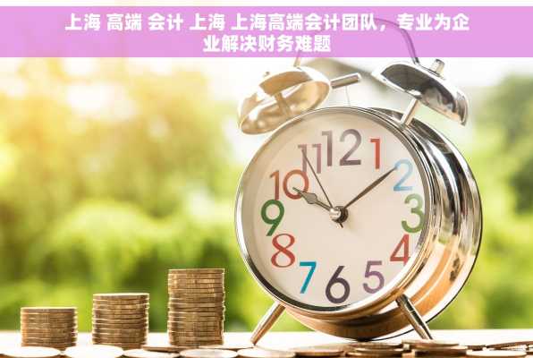 上海 高端 会计 上海 上海高端会计团队，专业为企业解决财务难题