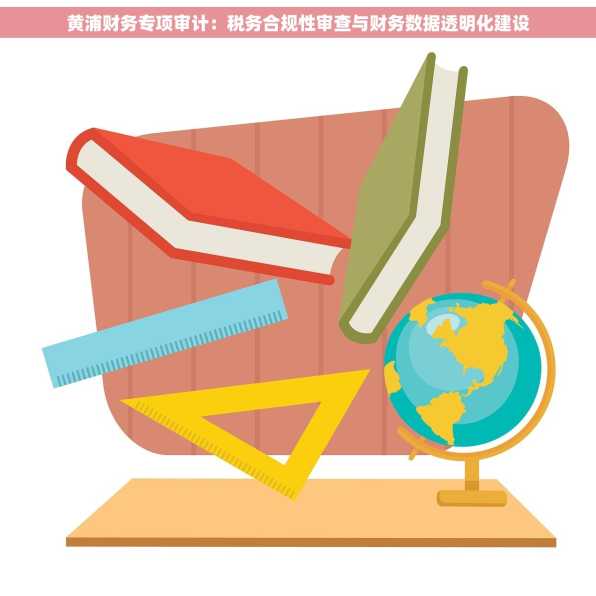 黄浦财务专项审计：税务合规性审查与财务数据透明化建设