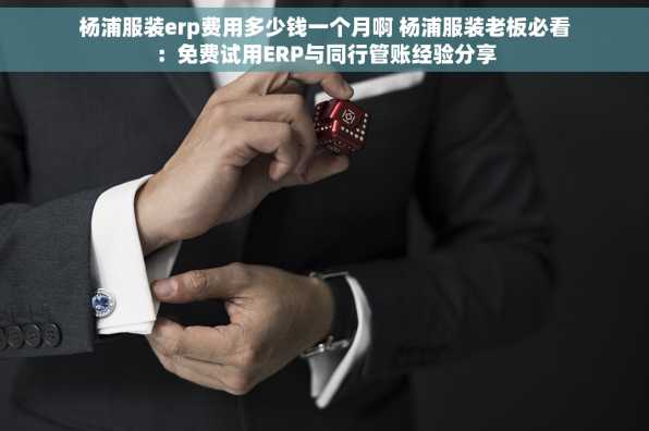 杨浦服装erp费用多少钱一个月啊 杨浦服装老板必看：免费试用ERP与同行管账经验分享