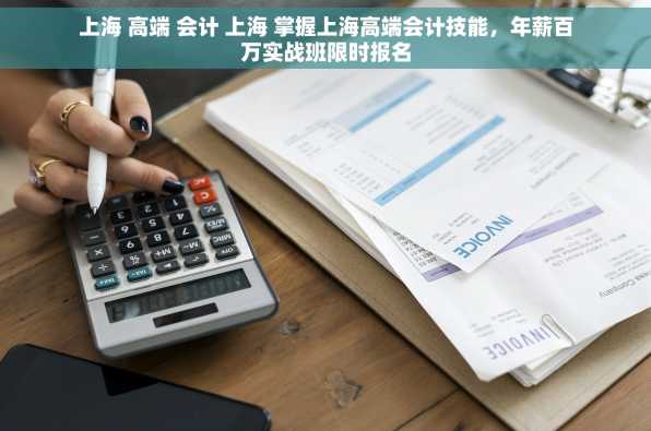 上海 高端 会计 上海 掌握上海高端会计技能，年薪百万实战班限时报名
