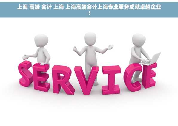 上海 高端 会计 上海 上海高端会计上海专业服务成就卓越企业!